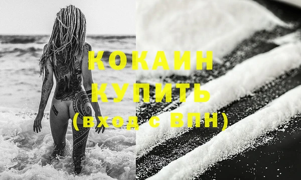 ешки Пересвет