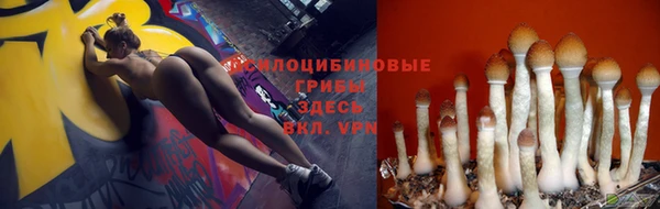 COCAINE Переславль-Залесский