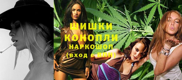 ешки Пересвет