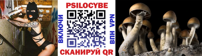Галлюциногенные грибы Cubensis  Слободской 